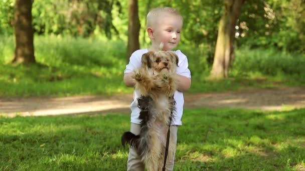 Αγόρι με σκύλο στη φύση. μικρό αγόρι περπατά με ένα χαριτωμένο Γιορκσάιρ τεριέ σκυλί στο πάρκο — Αρχείο Βίντεο