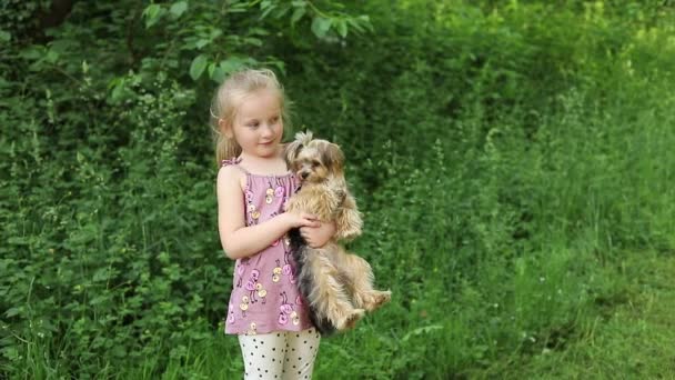 Fille avec un chien dans la nature. petite fille marche avec un chien terrier Yorkshire mignon dans le parc — Video