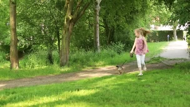 Meisje met een hond in de natuur. klein meisje wandelen met een leuke Yorkshire terriër hond in het park — Stockvideo