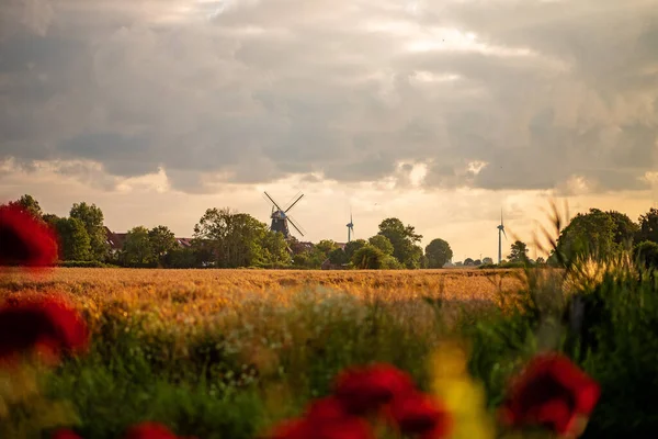 Beautiful landscape at sunset. mill in the field — Stock Photo, Image