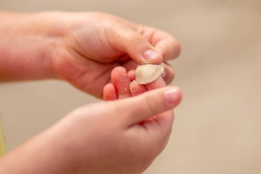 Kız elleri sahilde deniz kabuğu tutuyor.