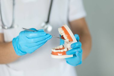 Mavi eldiven giyen bir dişçi klinik ortamda bir diş modeliyle sözlü muayene yapıyor. Odak noktamız uygun diş bakımı teknikleri..