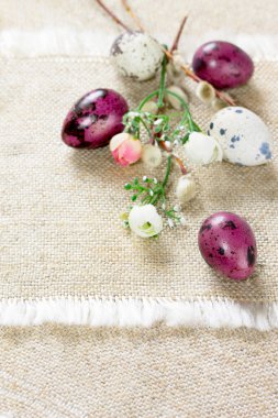 Bıldırcın yumurtası ve çiçek açan willow, Paskalya kompozisyonu uzay fo