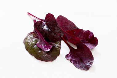 Kırmızı Mangold yaprakları beyaz bir arka planda seçici odak vardır.