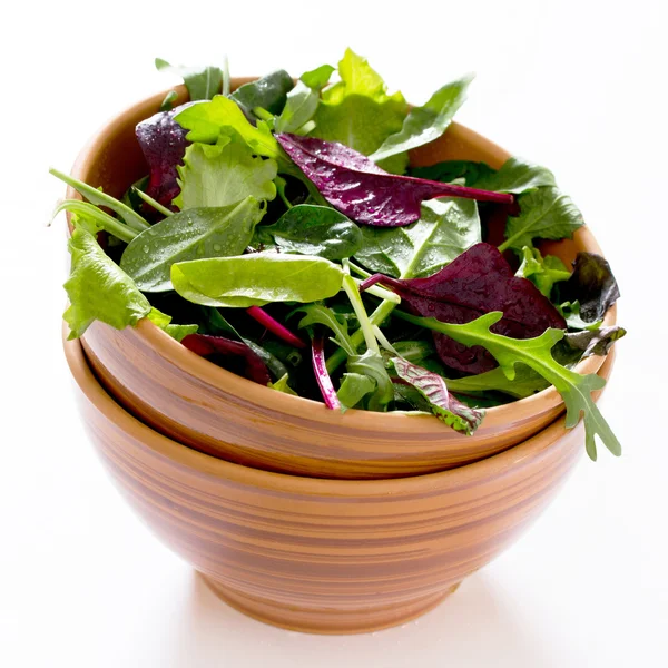 Mix salad arugula, spinach, chard, oak salad in ceramic cup on a — Stock Photo, Image