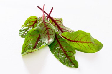 Seçici odak, beyaz bir arka plan ıspanak yaprakları.