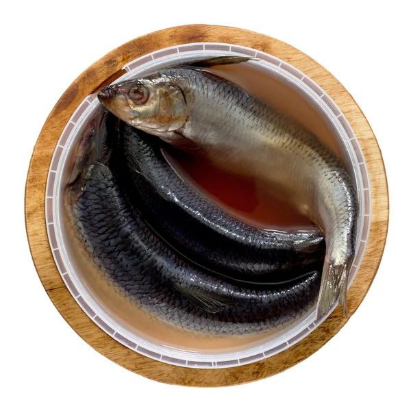 Strömming, saltad i saltlake på en planka — Stockfoto