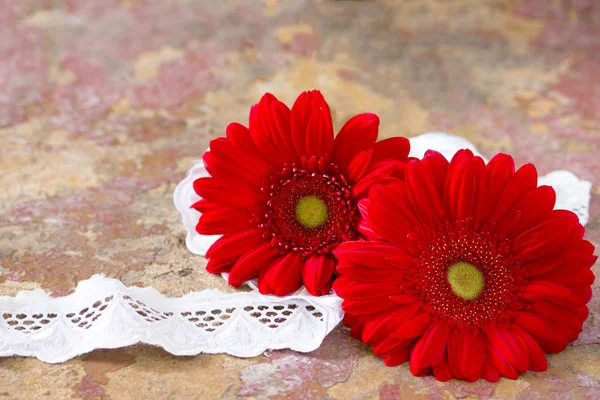 Flor roja gerbera margarita y cinta de encaje en respaldo de madera vintage — Foto de Stock
