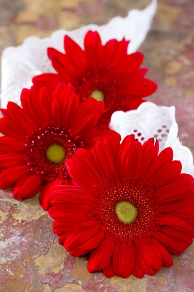 Red flower gerbera daisy and lace ribbon on vintage wooden backg — Stock Photo, Image