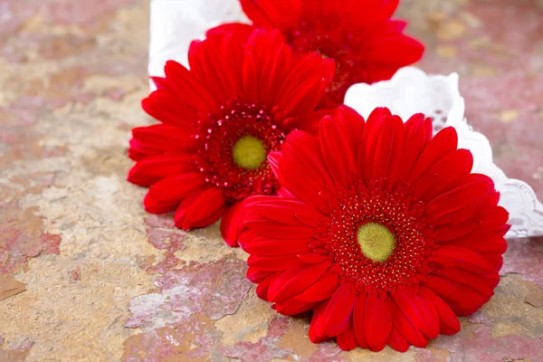 Gerbera di fiori rossi margherita su uno sfondo di legno. Tonalità vintage . — Foto Stock