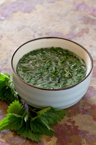 Medicinale plantjes brandnetel verse bladeren in een rustieke stijl — Stockfoto