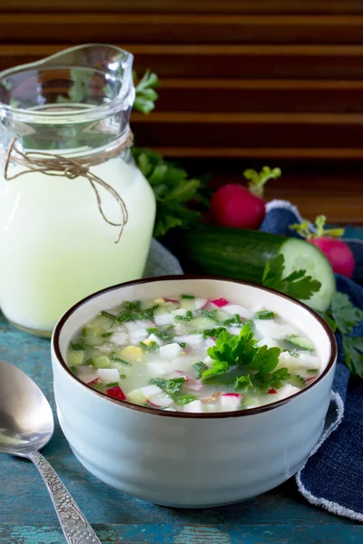 İlkbahar-Yaz soğuk çorba, sebze ile serum, bir traditiona — Stok fotoğraf