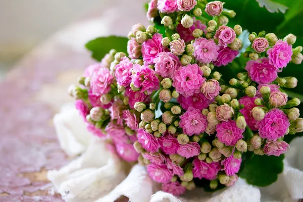 Kalanchoe rózsaszín virágos bouquet vintage háttér, RER — Stock Fotó