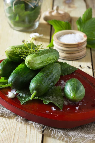 Preserving fresh and pickled cucumbers, garlic and spices on a w — Stock Photo, Image