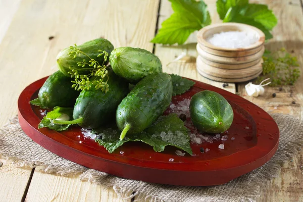 Preserving fresh and pickled cucumbers, garlic and spices on a w — Stock Photo, Image