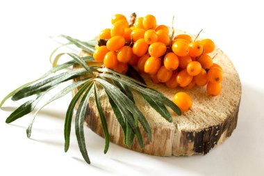 Cehri çilek şube beyaz bir arka plan üzerinde.