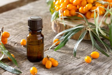 Deniz cehri ve bir vintag üzerine seabuckthorn çilek dalı