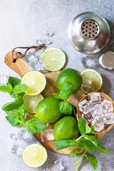 Rafraîchissant Froid Été Mojito Cocktail Fabrication Menthe Lime Ingrédients Glacés — Photo