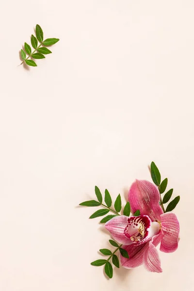 Orkideli Soyut Bir Arka Plan Açık Renkli Arka Planda Tropik — Stok fotoğraf