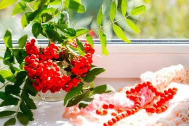 Sonbahar Görünümü penceresinden, cam vazoda ashberry Şubesi 