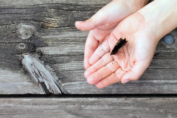 Butterfly in children's hands on an old wooden table — Φωτογραφία Αρχείου
