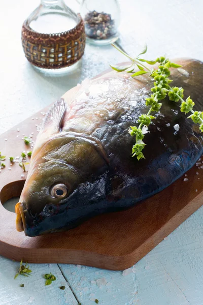 Roher Fisch (Schleie) mit Basilikum auf einem Holztisch — Stockfoto