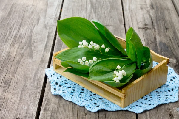 Branches blooming lily of the valley on a blue napkin — Stok fotoğraf