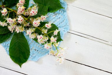 Beyaz ahşap b yeşil yaprakları ile çiçek açması kestane dal