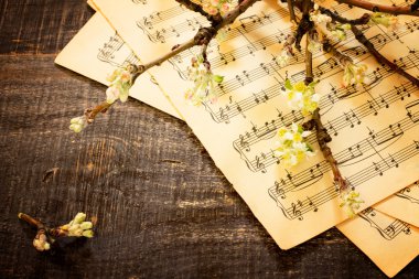 Çiçek açan elma ağacı dalı yeri olan ahşap arka plan üzerinde 