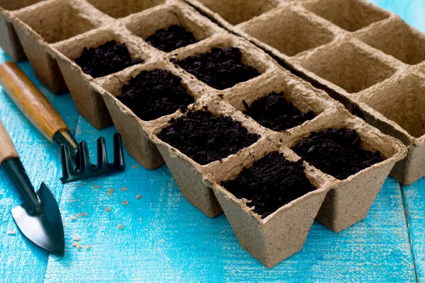 Jardinagem e paisagismo - preparação para o plantio de sementes, acelga — Fotografia de Stock