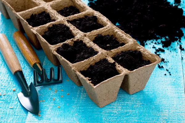 Jardinagem e paisagismo - preparação para o plantio de sementes, acelga — Fotografia de Stock