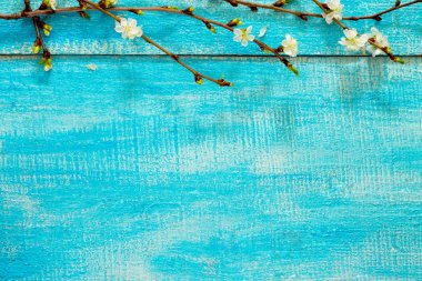 Ahşap arka plan üzerinde kiraz Şubesi çiçeklenme, metin için yer