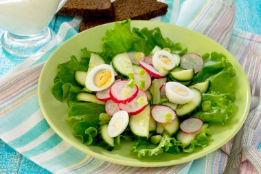 Ekşi krema, turp, salatalık ve Letonyalı taze sebze salatası