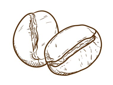 kahve çekirdekleri doodle