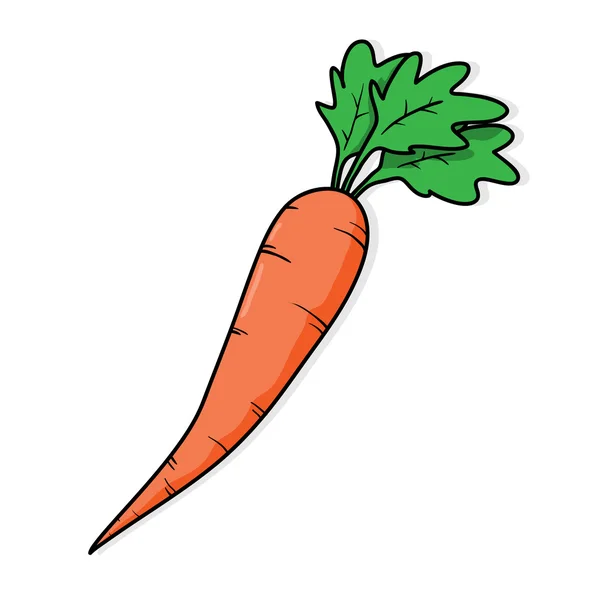 Ilustración del vector de zanahoria — Archivo Imágenes Vectoriales