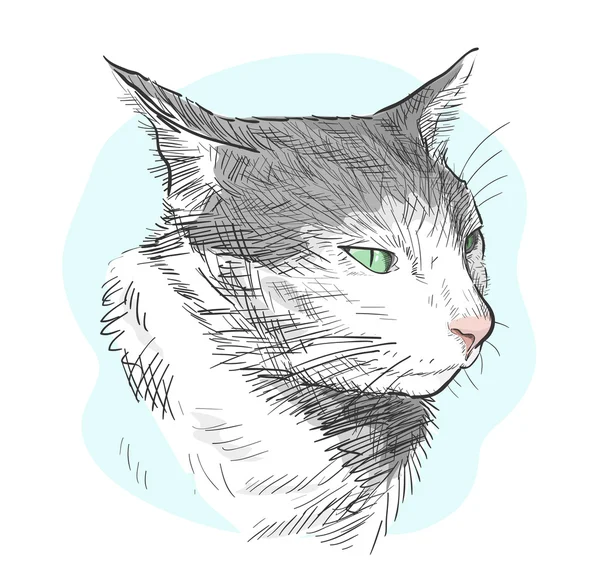 Katze-Sketch-Illustration — Stockvektor
