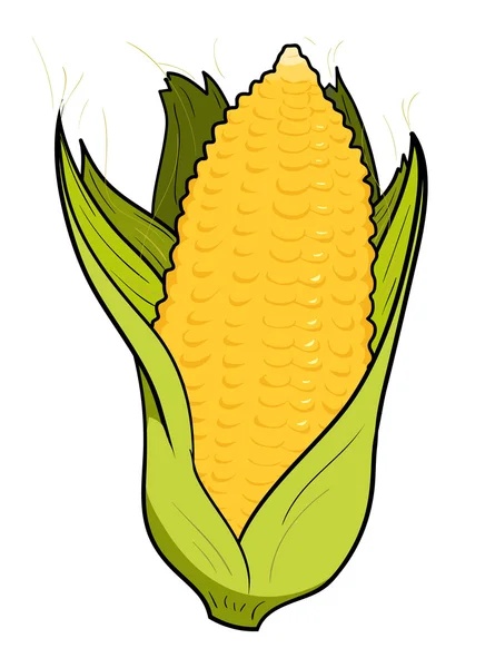 Кукурудза — стоковий вектор