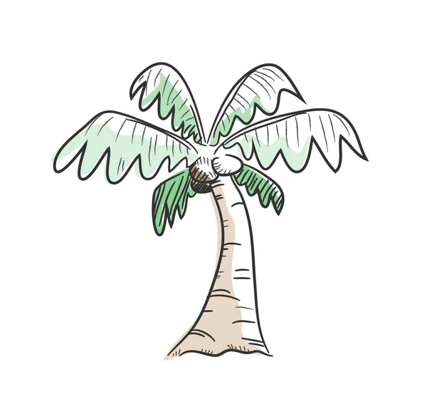 नारियल का पेड़ — स्टॉक वेक्टर