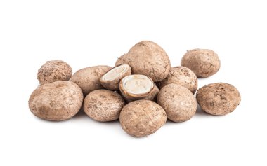 Beyaz arka plan üzerinde izole kurtmantarı mantar