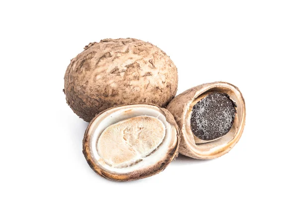 Puffball mushroom isolated on white background — Stock Photo, Image