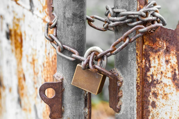 Vintage rusty gate with locked master key and chain — Stock Photo, Image