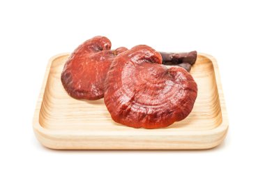 Ganoderma Lucidium mantar beyaz arka planda izole ahşap plaka üzerinde