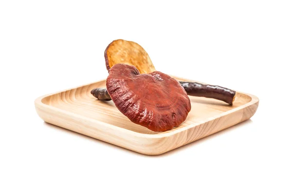 Ganoderma lucidum mushroom on wooden plate isolated in white background — Stock Photo, Image