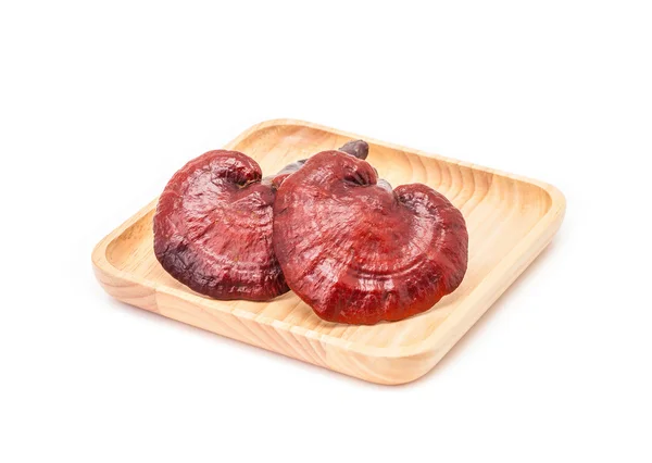 Ganoderma Lucidium mantar beyaz arka planda izole ahşap plaka üzerinde