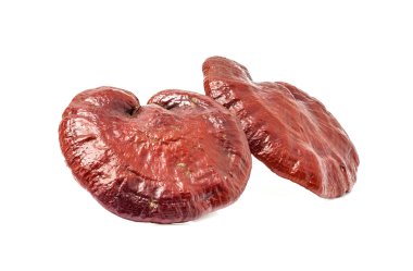 Ganoderma Lucidum Mantarı beyaz arka planda izole edildi