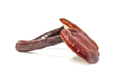 Ganoderma Lucidum Mantarı beyaz arka planda izole edildi