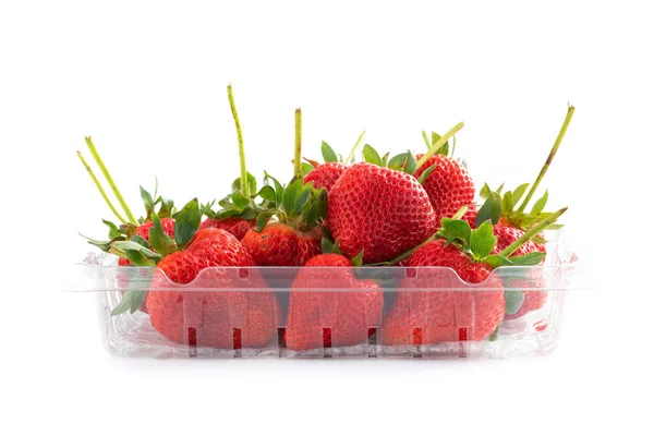 Fresh Natural Strawberry Plastic Tray Isolated White Background — Stock Photo, Image