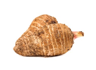 Taro kökü beyaz arkaplanda izole edildi
