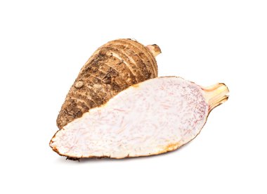 Taro kökü beyaz arkaplanda izole edildi