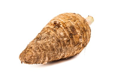 Taro kökü beyaz arkaplanda izole edildi